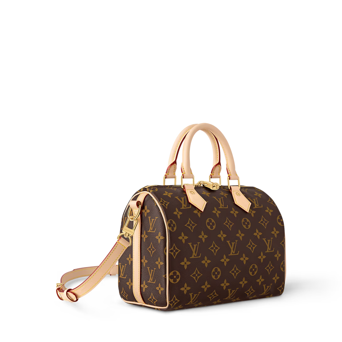 Louis Vuitton Speedy